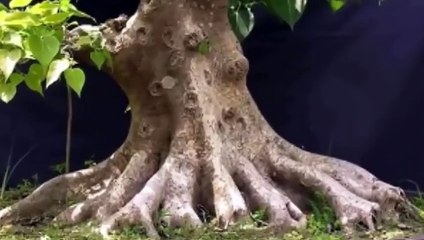 장수출장안마 -후불1ØØ%ョØ7ØM7575M0054｛카톡OYO78｝ 장수전지역출장마사지 장수오피걸 장수출장안마 장수출장마사지 장수출장안마 장수출장콜걸샵안마 장수출장아로마장수출장샵◘∏す