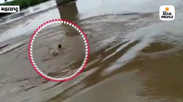 TIKTOKનો વીડિયો બનાવવા યુવકે જીવના જોખમે 35-40 ફૂટ ઊંચા પુલ પરથી ધસમસતા પાણીમાં કૂદકો માર્યો