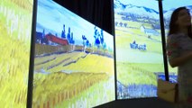 Valencia acoge la exposición 'Van Gogh Alive'