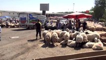 Diyarbakır'da hayvan kesim yerleri dolup taştı