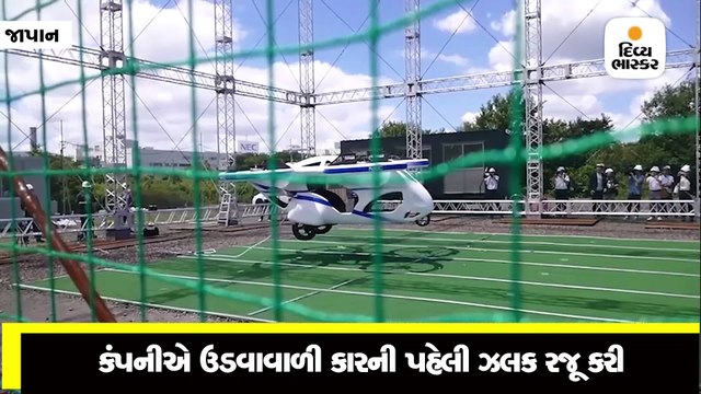 ઈલેક્ટ્રોનિક્સ કંપનીએ પહેલી ઊડતી કારની પહેલી ઝલક વિશ્વ સમક્ષ રજૂ કરી