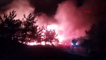 Gelibolu’dak orman yangını… Havadan müdahale başladı