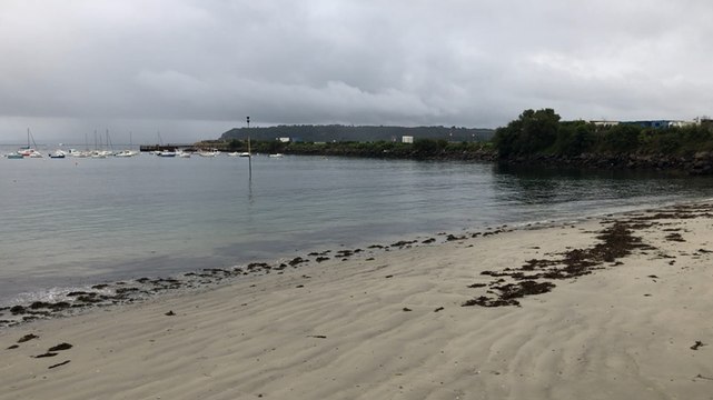 En été, des analyses quotidiennes pour connaître la qualité des eaux de mer