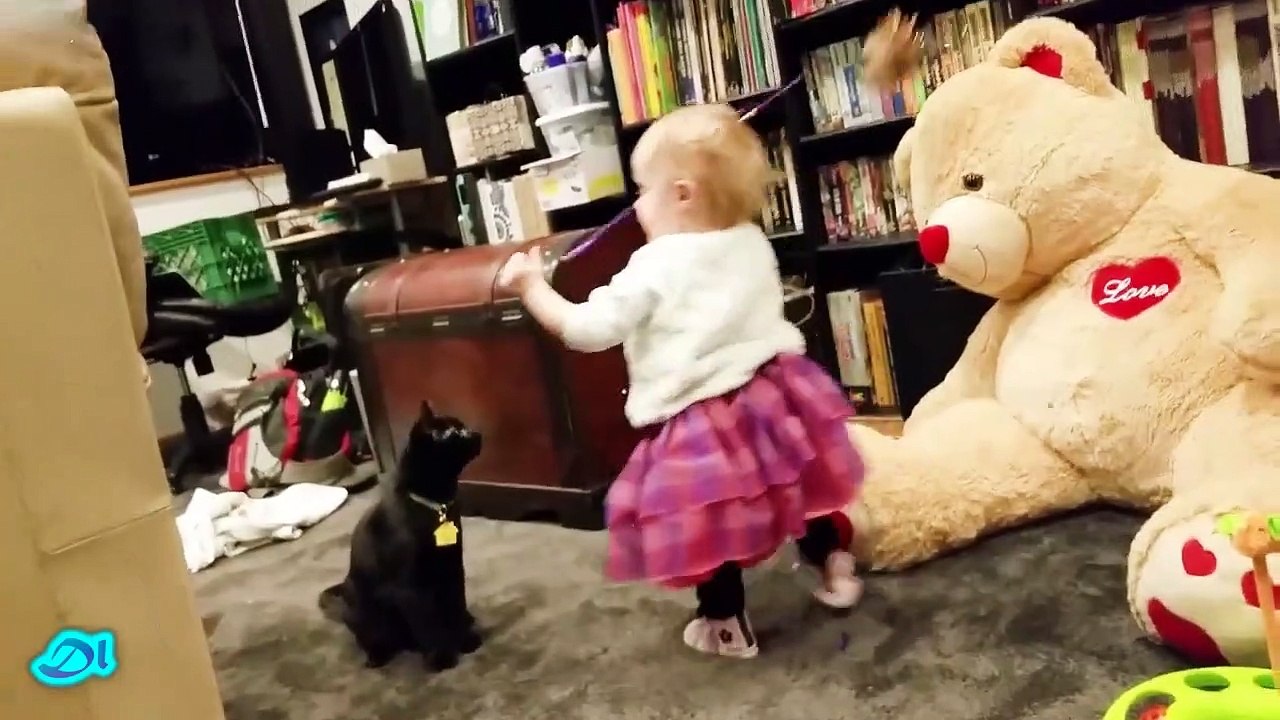 Idiot Funny cats - Cats and Babies Compilation(1)
