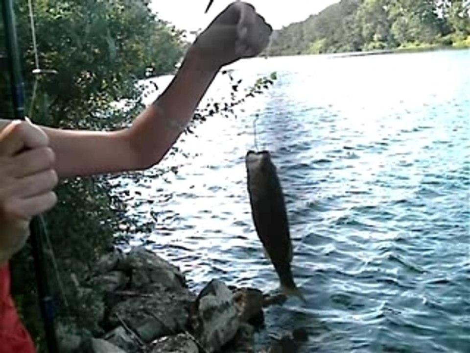 black-bass