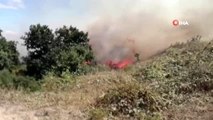 Pendik Göçbeyli köyünde ormanlık alanda yangın çıktı. İtfaiyenin yangına müdahalesi sürüyor.