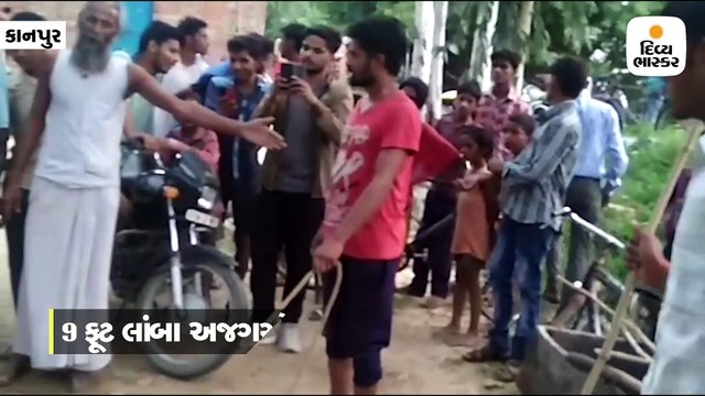 લોકોએ 9 ફૂટ લાંબા અજગરને પકડીને કોથળામાં પૂર્યો, ખેતરમાં મહિલા પર હુમલો કર્યો હતો