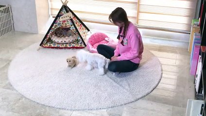 괴산출장안마 -후불1ØØ%ョOiON6622N4421｛카톡XN94｝ 괴산전지역출장마사지 괴산오피걸 괴산출장안마 괴산출장마사지 괴산출장안마 괴산출장콜걸샵안마 괴산출장아로마 괴산출장㌳㌒㌎