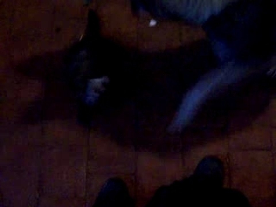 Louloup et Charlotte