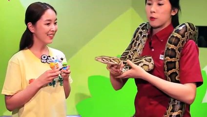 태안출장안마 -후불1ØØ%ョØ1ØZ7467Z4367｛카톡XI74｝ 태안전지역출장마사지 태안오피걸 태안출장안마 태안출장마사지 태안출장안마  태안출장콜걸샵안마 태안출장아로마㌕ご≑ 태안출장샵