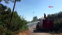 ANTALYA Kumluca'da orman yangını-3