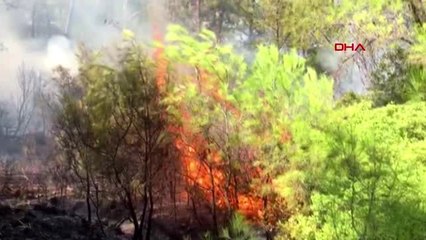 ANTALYA Kumluca'da orman yangını-2