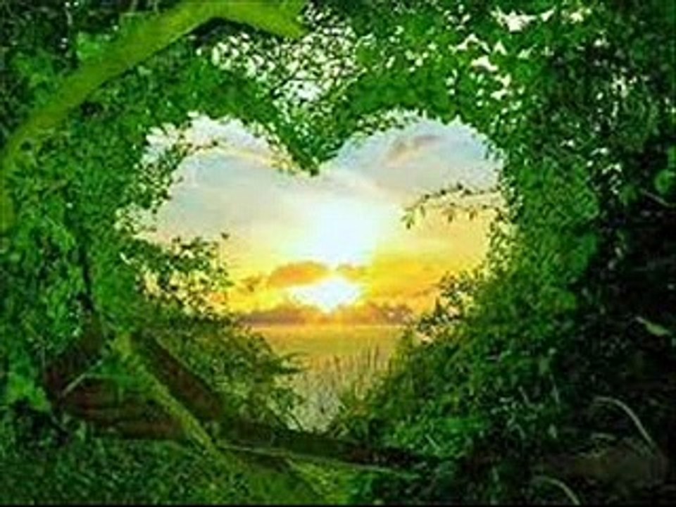 Naturaleza