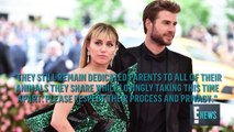 Miley Cyrus & Liam Hemsworth Split After Less Than 1 Year of Marriage