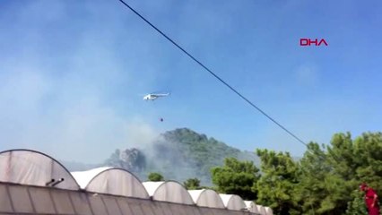 ANTALYA SAHİLDE KAÇAK BOĞA PANİĞİ