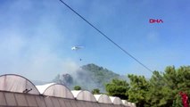 ANTALYA Kumluca'da orman yangını -EK