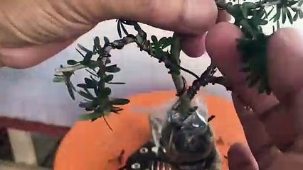 김포출장안마 -후불1ØØ%ョØ7ØE7575E0069｛카톡RD654｝ 김포전지역출장마사지 김포오피걸 김포출장안마 김포출장마사지 김포출장안마  김포출장콜걸샵안마 김포출장아로마㌥ぱ≵ 김포출장샵