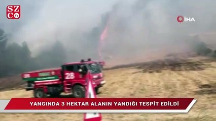 Balıkesir'de orman yangını