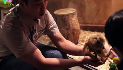 건대역출장안마 -후불1ØØ%ョØ7ØE7575E0062｛카톡DK654｝ 건대역전지역출장마사지 건대역오피걸 건대역출장안마 건대역출장마사지 건대역출장안마 건대역출장콜걸샵안마 건대역출장아로마건대역출장샵⾲◝り