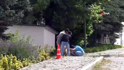 Sahibinin Elinden Kaçan Koyun Soluğu Acil Serviste Aldı