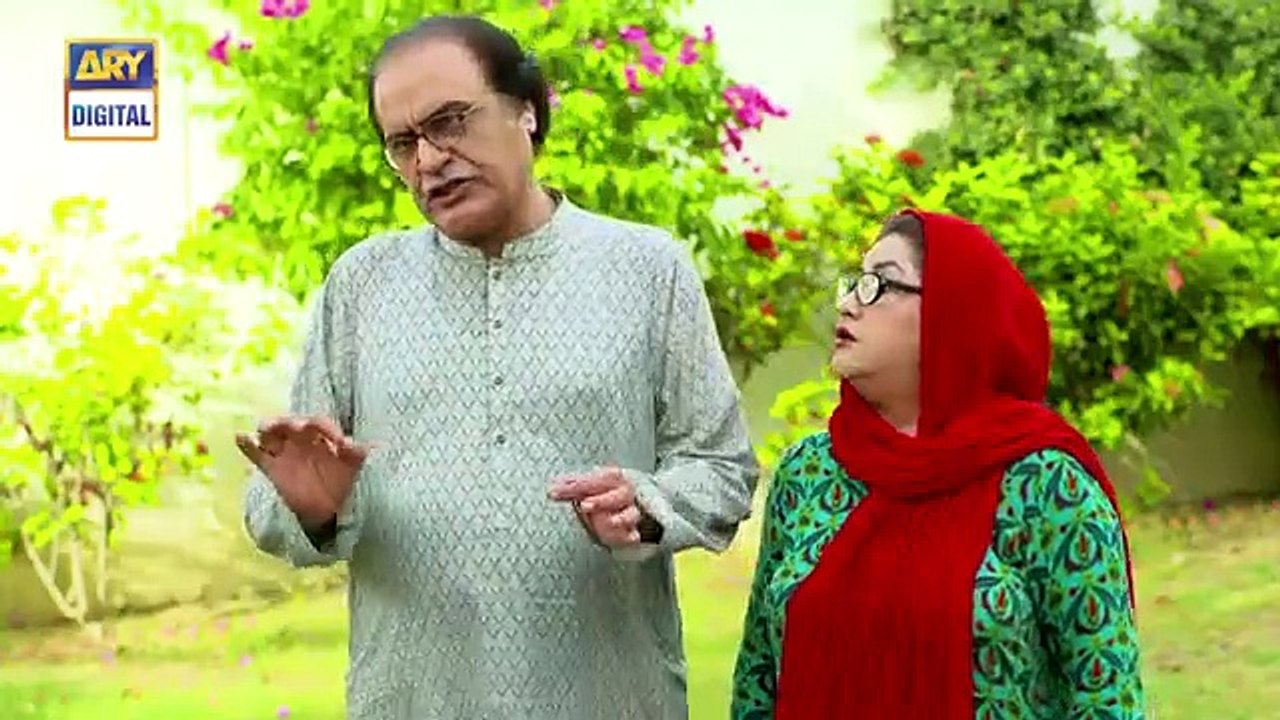 Bulbulay Se 2  Ep 12  11th August 2019  ARY Digital Drama