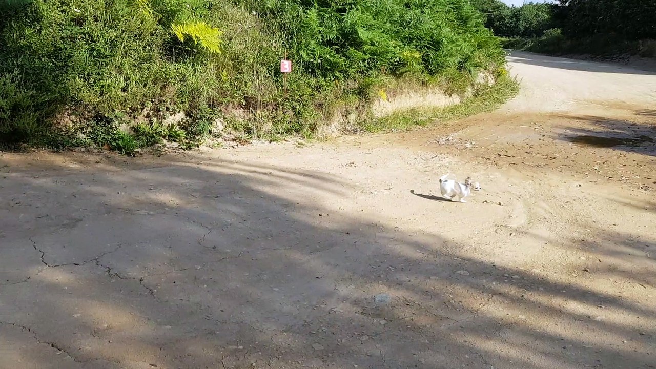 au terrain du camion cross