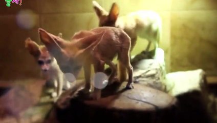 화순출장안마 -후불1ØØ%ョOiON7467N4367｛카톡KP93｝ 화순전지역출장마사지 화순오피걸 화순출장안마 화순출장마사지 화순출장안마 화순출장콜걸샵안마 화순출장아로마화순출장샵㍈◫≸