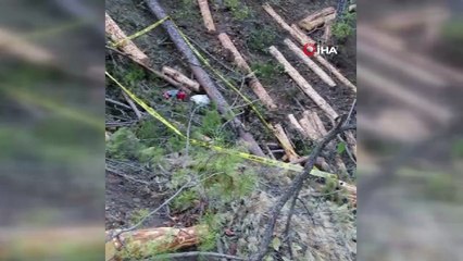 Kestiği ağacın altında kalan adamın cesedi 4 gün sonra bulundu