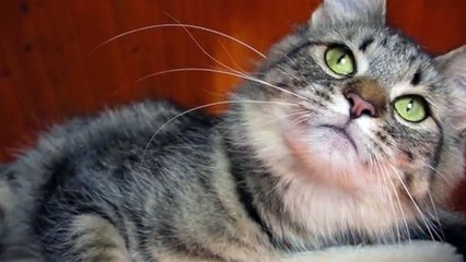 서초출장안마 -후불1ØØ%ョØ7ØE7575E0054｛카톡USA16｝ 서초전지역출장마사지 서초오피걸 서초출장안마 서초출장마사지 서초출장안마 서초출장콜걸샵안마 서초출장아로마서초출장샵す⊌げ