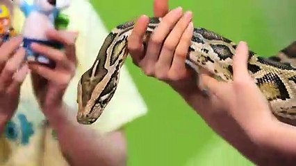 월미도출장안마 -후불1ØØ%ョOiOE2997E5327｛카톡QR091｝ 월미도전지역출장마사지 월미도오피걸 월미도출장안마 월미도출장마사지 월미도출장안마 월미도출장콜걸샵안마 월미도출장아로마 월미도출장◩⻋じ