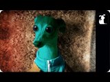 Star Wars Parody - Paw Warz - Haz Definitely Shot First Scene - Petody