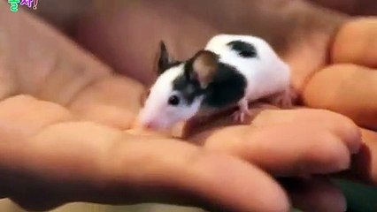 사하지구출장안마 -후불1ØØ%ョØ7ØE7575E0054｛카톡USA16｝ 사하지구전지역출장마사지 사하지구오피걸 사하지구출장안마 사하지구출장마사지 사하지구출장안마 사하지구출장콜걸샵안마 사하지구출장아로마사하지구출장샵◞◖⊇