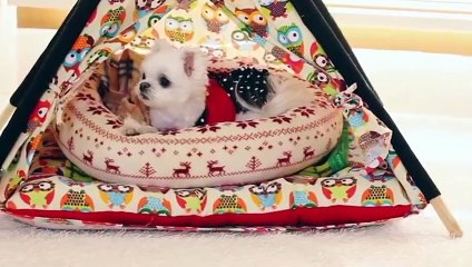 여수출장안마 -후불1ØØ%ョOiON6622N4421｛카톡EM85｝ 여수전지역출장마사지 여수오피걸 여수출장안마 여수출장마사지 여수출장안마 여수출장콜걸샵안마 여수출장아로마여수출장샵⊋◑㌴