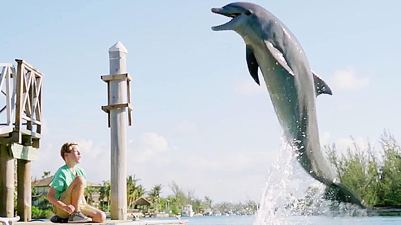 Echo, der Delphin - Eine Freundschaft fürs Leben - Trailer (Deutsch) HD