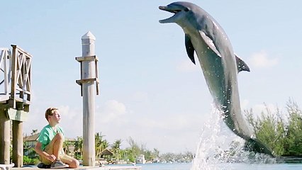 Echo, der Delphin - Eine Freundschaft fürs Leben - Trailer (Deutsch) HD