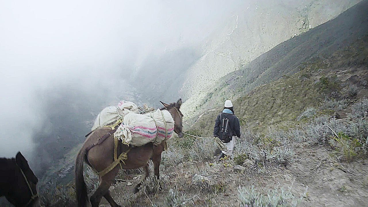 Thinking Like A Mountain - Trailer (Deutsche UT) HD
