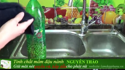 Cách làm GIÁ ĐỖ bằng Chai nhựa