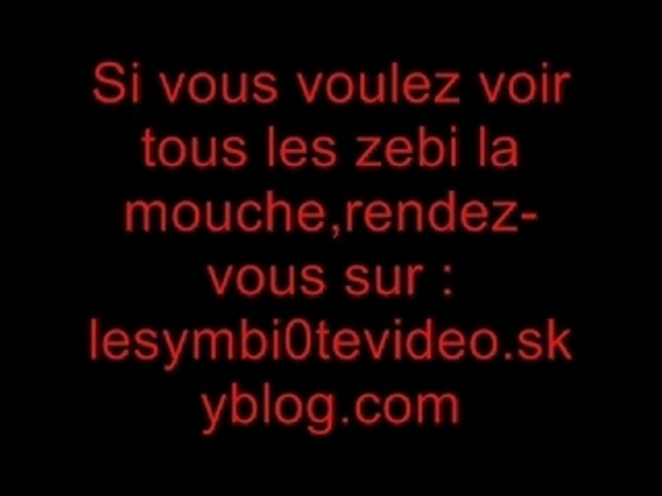 Zebi la mouche