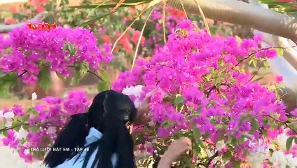 Thả Lưới Bắt Em – Tập 40 FULL – Phim sitcom hài mới nhất 2019 | TodayTV