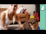 Yoga With Your Pet - Pet Fit Tips