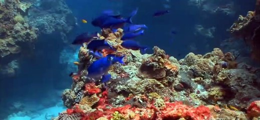 강남식스 ↖김사랑Ø1Øn2393v1922 강남씩스 강남six 오랜세월이 주어진다면