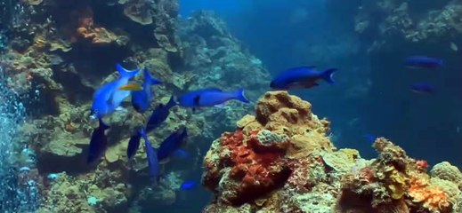 선릉식스 ↖김사랑Ø1Øn2393v1922 선릉씩스 선릉six 이밤사더밝게 때로는쉬어가세요