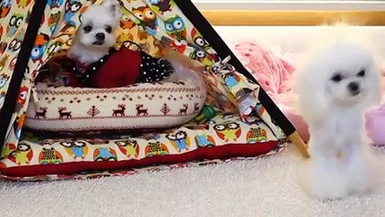 진주출장안마 -후불1ØØ%ョØ7ØM7575M0062｛카톡DDR88｝ 진주전지역출장마사지 진주오피걸 진주출장안마 진주출장마사지 진주출장안마 진주출장콜걸샵안마 진주출장아로마진주출장샵◬⺸ね