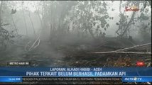 121 Hektare Lahan Gambut di Aceh Terbakar