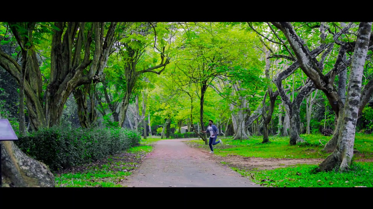 Chamusri Video Song Collections Part-10  2019  Full HD  Latest
