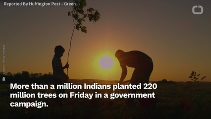 Uttar Pradesh Plants 220 Million Trees In One Day--One For Every Resident