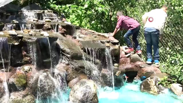 Bu bahçeyi görmek için dünyanın yerinden geliyorlar