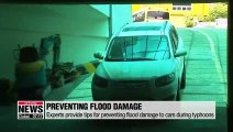 Experts provide tips for preventing flood damage to cars during typhoons