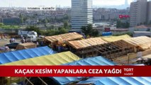 Kaçak Kesim Yapanlara Ceza Yağdı