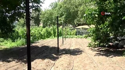 Günde bin turistin ziyaret ettiği bahçe